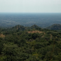 By safeguarding forests from the flames, Carbon Green Africa says its volunteers are storing carbon dioxide in the form of trees. | BLOOMBERG 