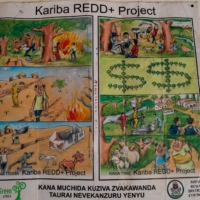 Posters advertising local REDD+ projects line the office walls of Tarcisius Mahuni, who runs the local district council in Mbire, Zimbabwe.  | BLOOMBERG 