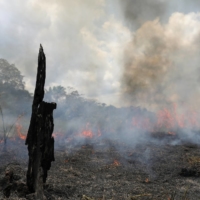 Smoke from a fire rises in the Brazilian Amazon rainforest in Labrea, Amazonas state, on Sept. 1. | REUTERS 