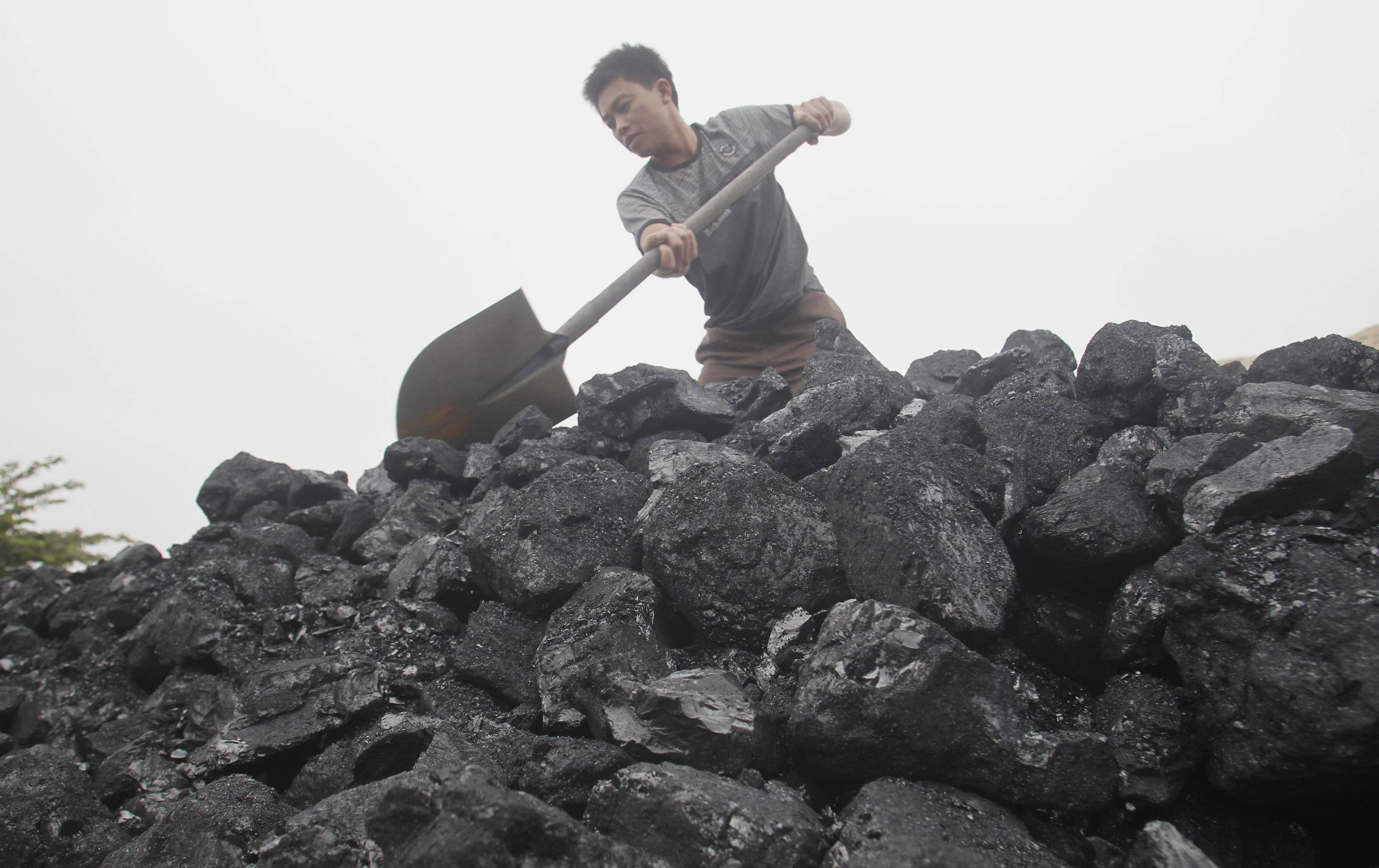 A worker shovels coal as he loads a truck at a coal port in Hanoi. | Reuters 