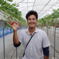 Ryoki Sato, CEO of Agri-na Rice Paddy Art Village, shows off the farm’s strawberry greenhouse, which runs on 100% geothermal energy in winter. | RYOKI SATO
