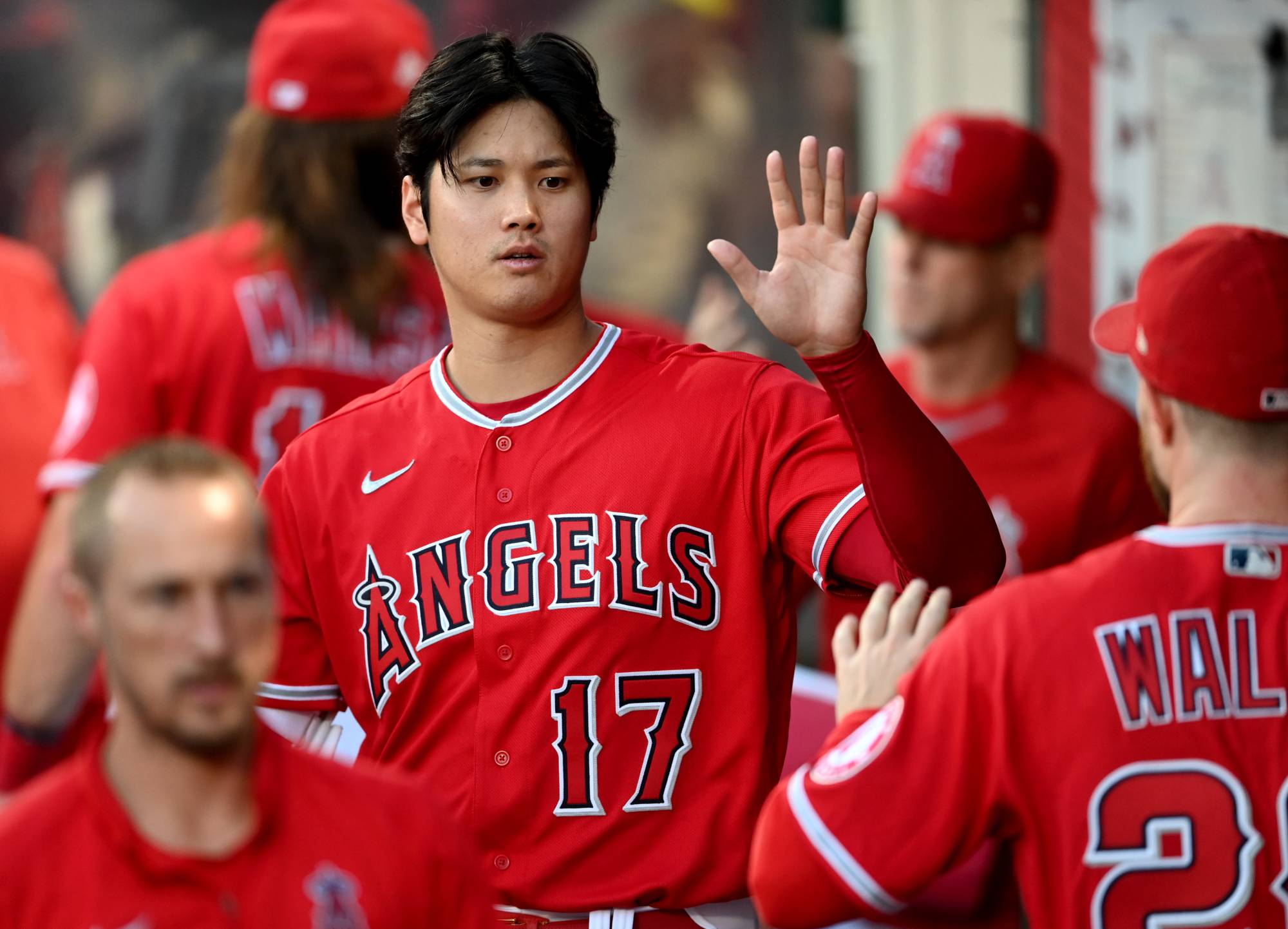 Official official Ohtani MVP Los Angeles Angels Stadium team shirt