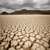 A dried up municipal dam in South Africa in November 2019.  | REUTERS