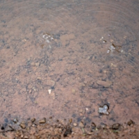 Bubbles of methane from old gas wells rise through the water in a small stream in Roan County, West Virginia, in May.  | REUTERS