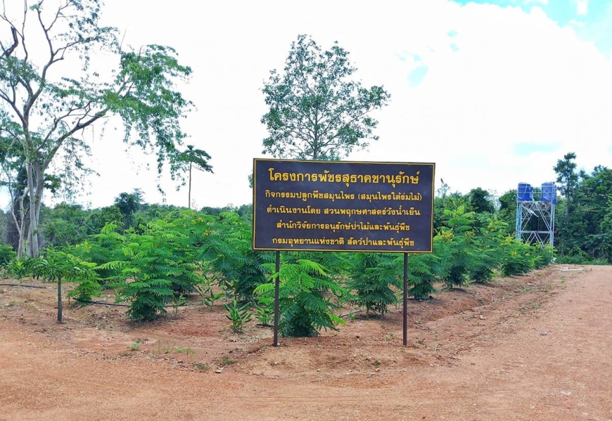 An area designated for planting medicinal herbs at the Bajrasudha Gajanurak Project in Baan Sa Luang, Sakaew province | GAJANURAK BAAN SA LUANG FACEBOOOK PAGE