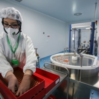 A lab technician arranges vials of Sinovac\'s COVID-19 vaccine at a lab in Constantine, Algeria, on Wednesday. | REUTERS