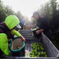 Labor shortages are hitting every part of the food supply chain.  | BLOOMBERG 