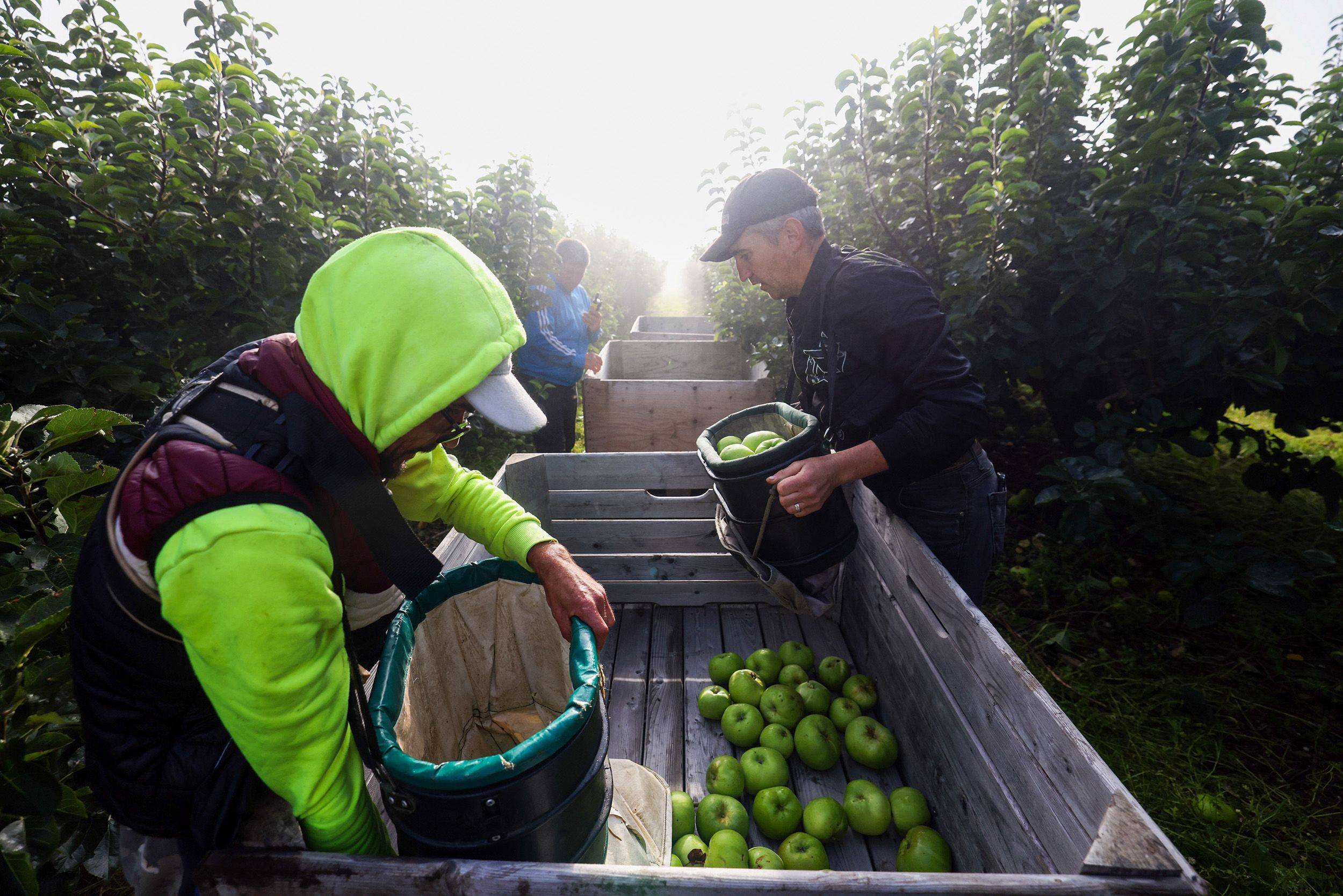 Labor shortages are hitting every part of the food supply chain. | Bloomberg 
