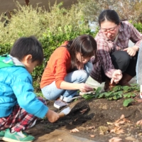 At Share Batake, tools, seeds and fertilizers are all included in the plot fee, and experienced gardening advisers are on hand to help beginners.  | COURTESY OF AGRIMEDIA INC.
