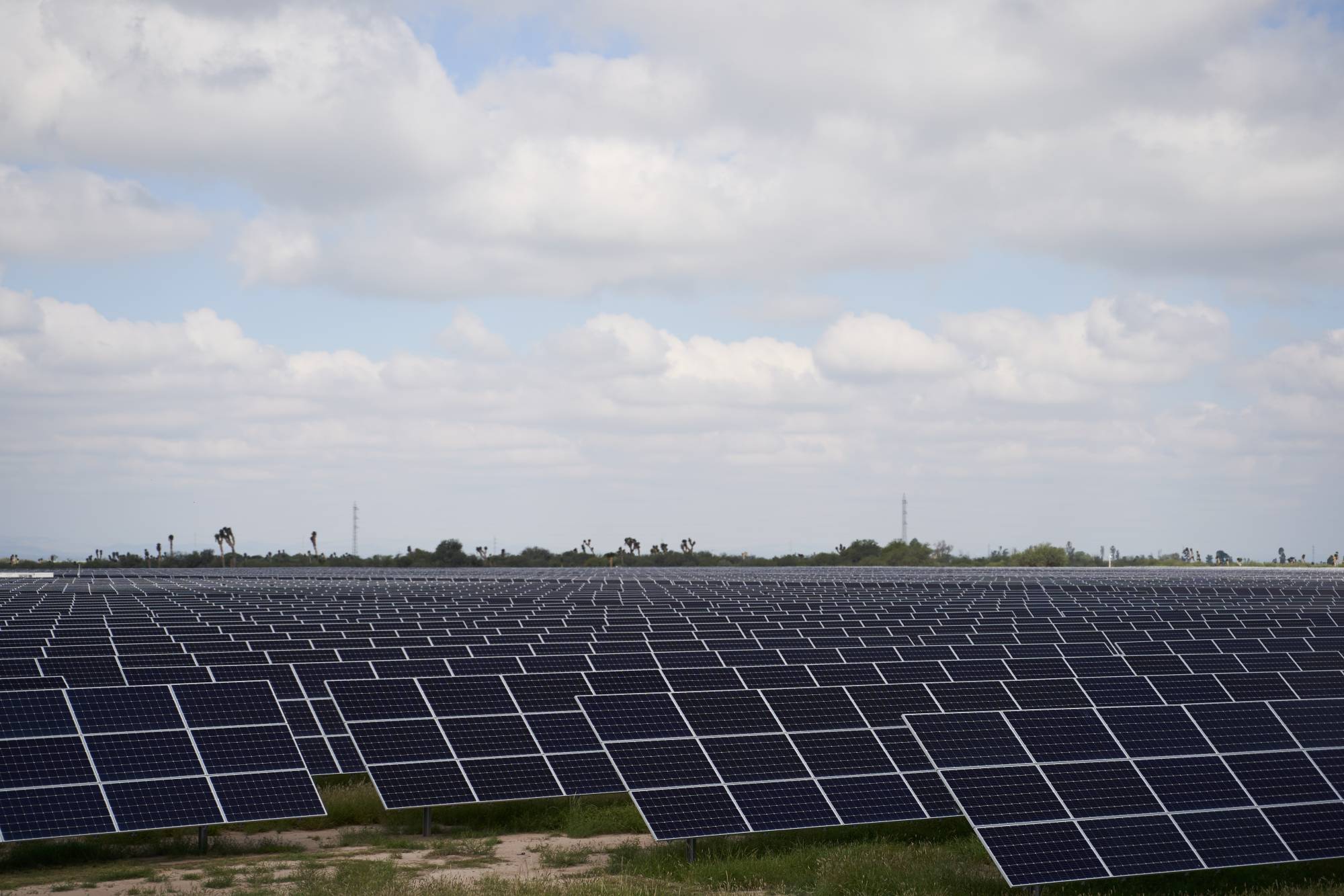 Going green offers a chance to tackle both climate change and unemployment. | Bloomberg