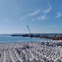 An under-construction coal jetty of the planned 1,320-megawatt power plant on the coastline near India\'s southern tip, in Udangudi, Tamil Nadu | REUTERS 