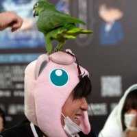 A parrot perches on the head of a Halloween reveler in Shibuya. | ROB GILHOOLY