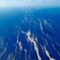 Pumice stones drift in the sea off mainland Okinawa on Oct. 26. | JAPAN COAST GUARD / VIA THE OKINAWA TIMES