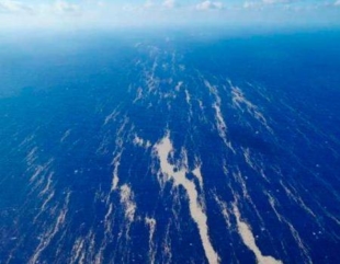Pumice stones drift in the sea off mainland Okinawa on Oct. 26. | JAPAN COAST GUARD / VIA THE OKINAWA TIMES