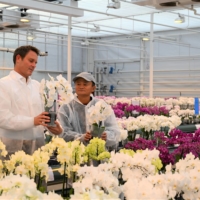 Jack Ma visits Dutch flower grower Anthura in the town of Bleiswijk, Netherlands, in October. | ANTHURA / VIA REUTERS  