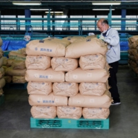 A farmer checks on packs of rice ready for delivery at a sorting site for produce in Iwaki, Fukushima Prefecture, on Tuesday. | REUTERS