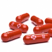 Capsules of the antiviral pill molnupiravir | MERCK & CO, INC. / VIA AFP-JIJI