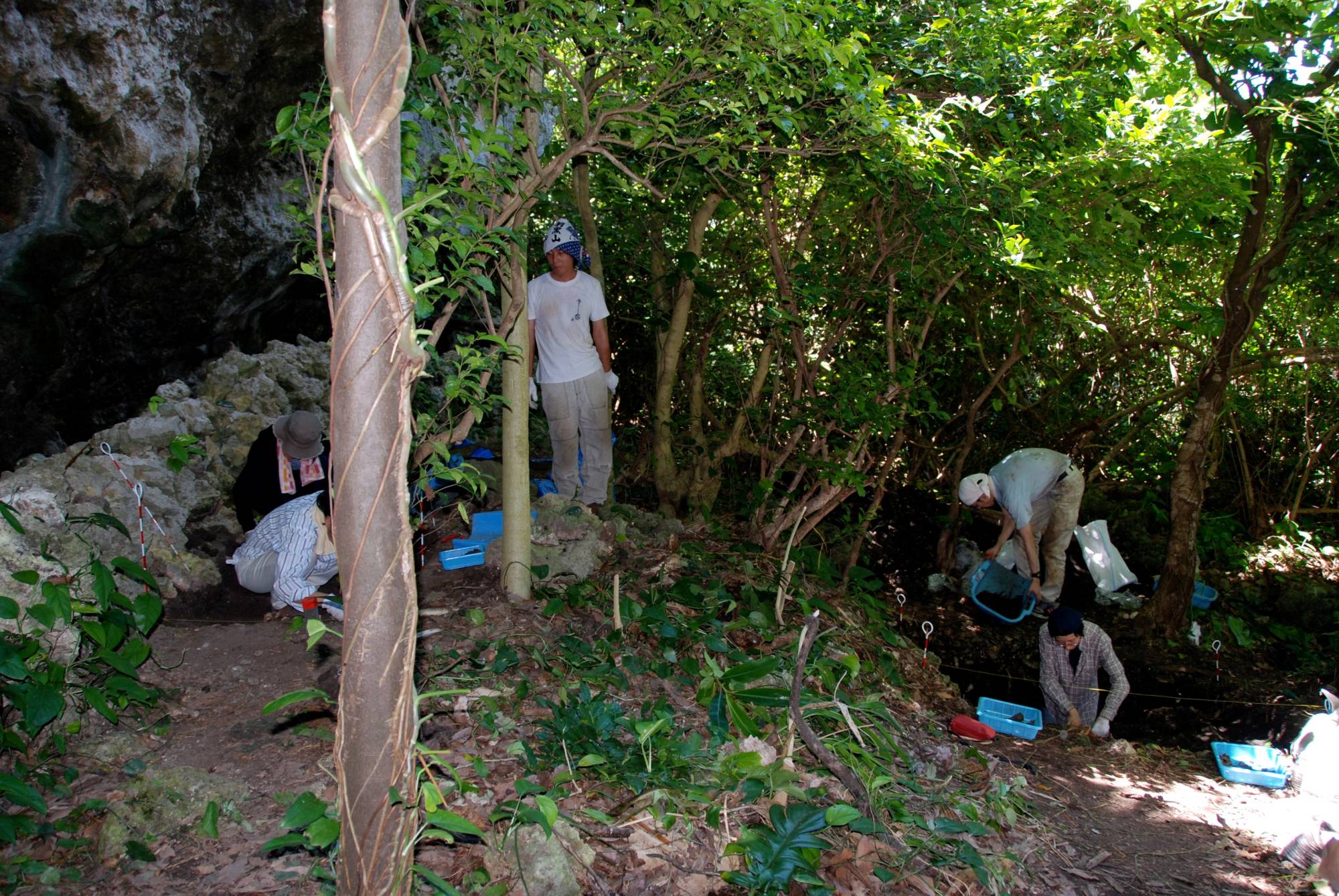 Researchers engage in archaeological excavations at the Nagabaka site on Miyako Island, Okinawa Prefecture, as part of a study that explored the origins of the trans-Eurasian languages. | Mark Hudson / via REUTERS