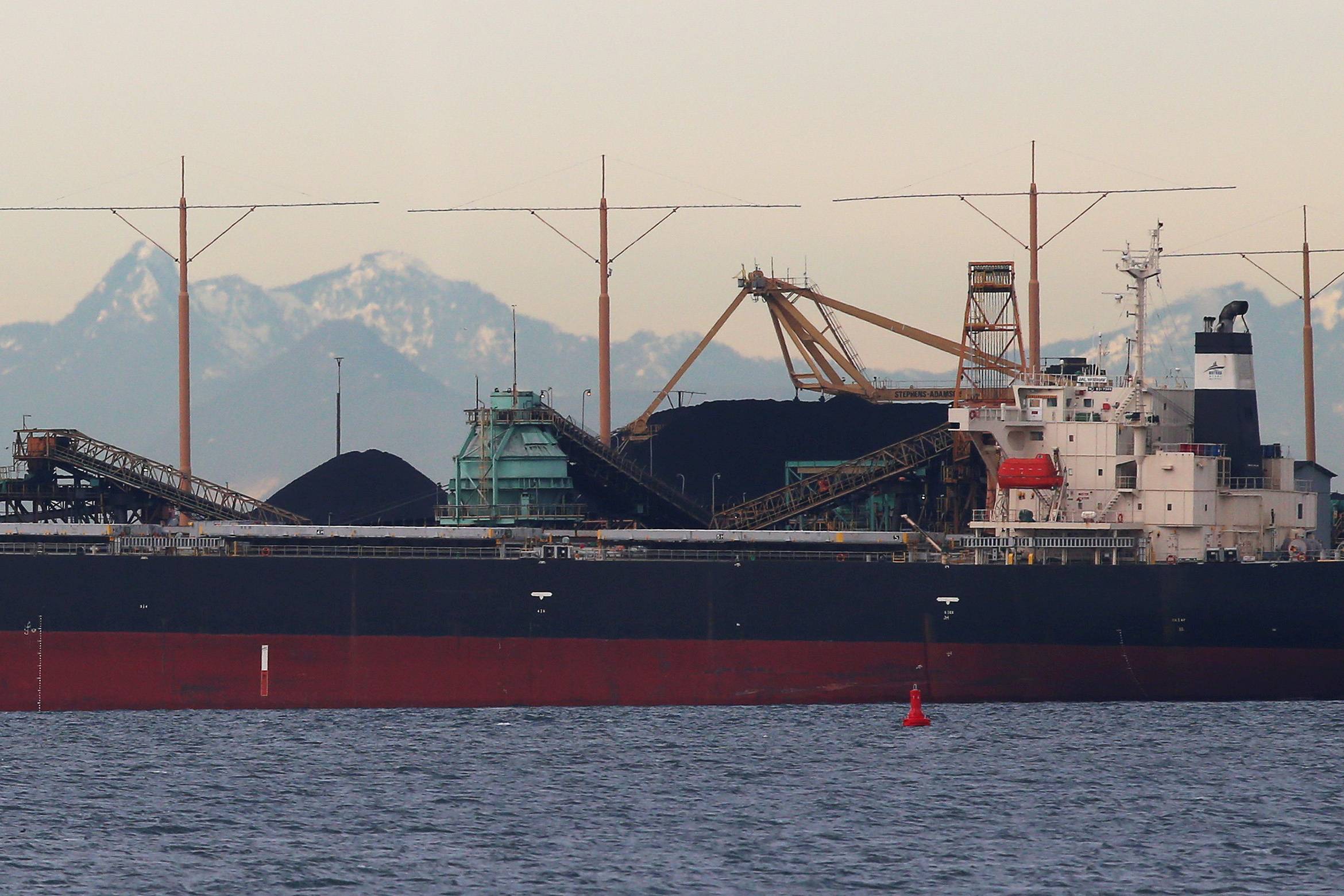 Bulk carriers are filled with coal for export at Roberts Bank Superport in Delta, British Columbia, Canada. | Reuters 