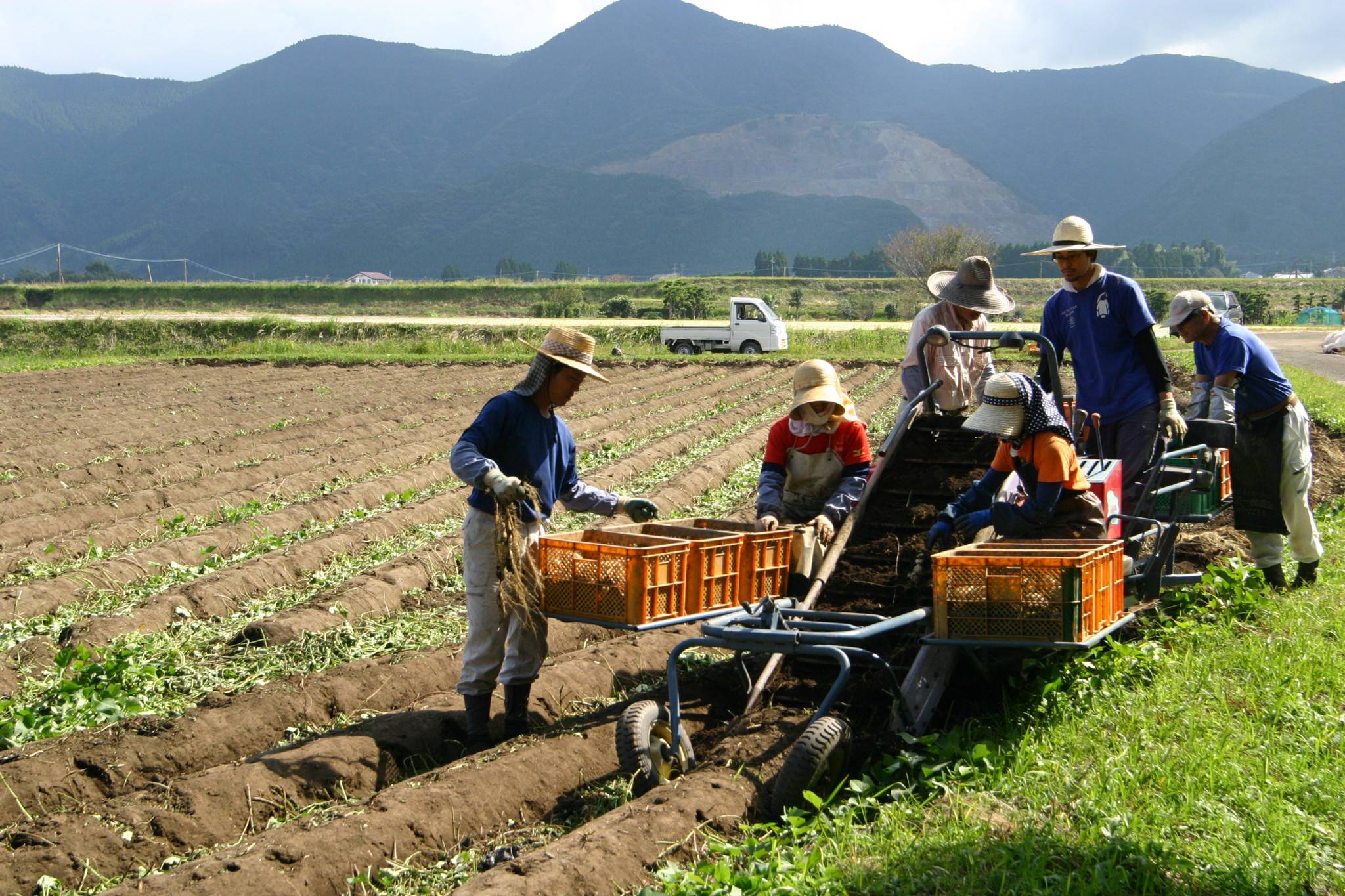 The Watanabe family at work in their fields. | COURTESY OF WATANABE DISTILLERY