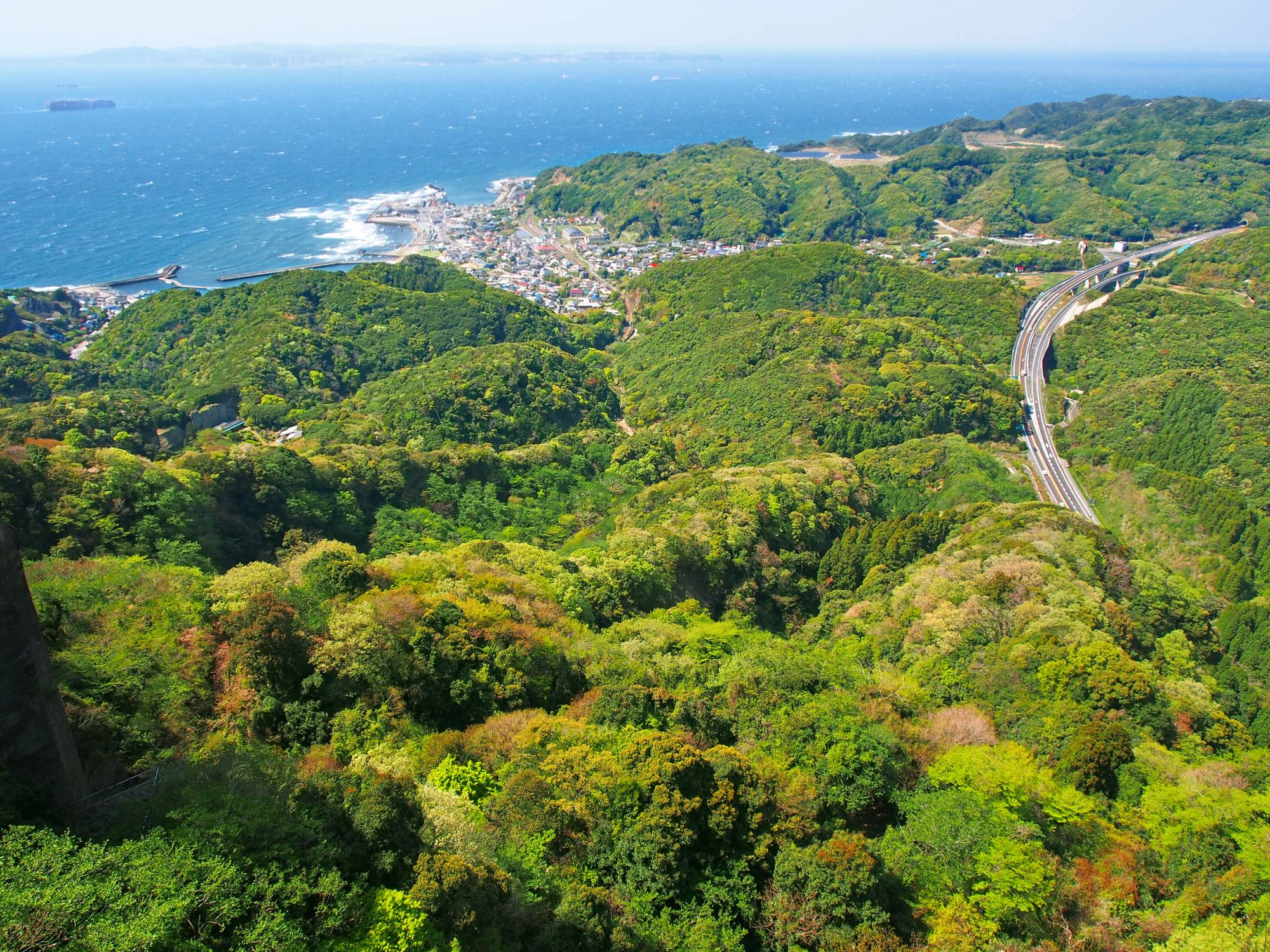 While Japan has plenty of forests, many of the trees are old and no longer have good carbon-absorbing abilities. | GETTY IMAGES