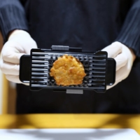 For aging Japan, a cooker that makes chicken as soft as