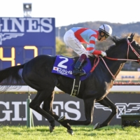 Contrail wins the Japan Cup at Tokyo Racecourse on Sunday. | KYODO