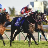 Contrail will become a stud horse after winning the final race of his career. | KYODO