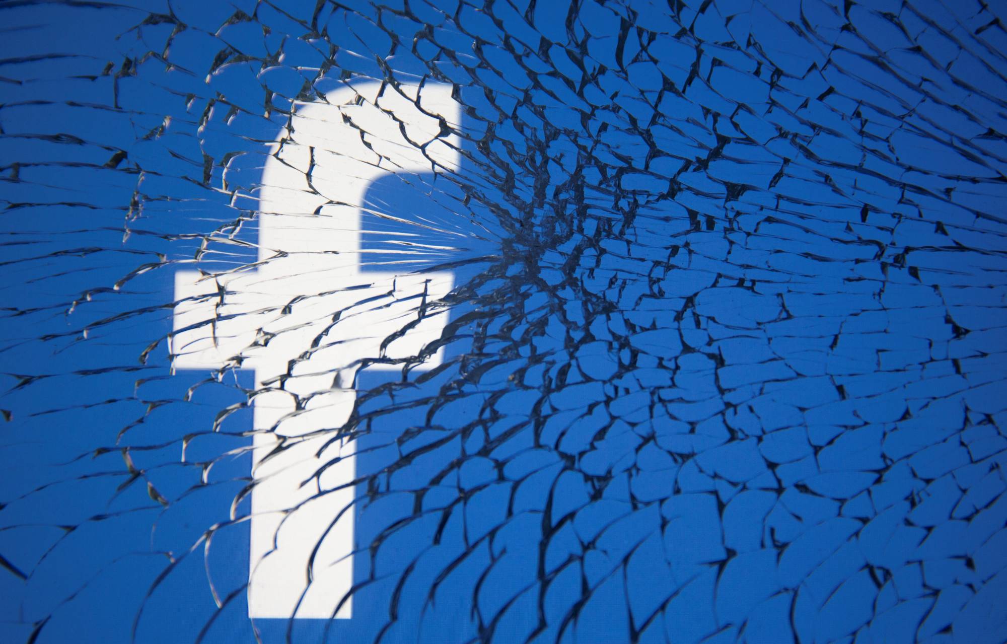 Disinformation campaigns often use cute animal videos on platforms like Facebook and Youtube to lead viewers to unrelated content. | REUTERS