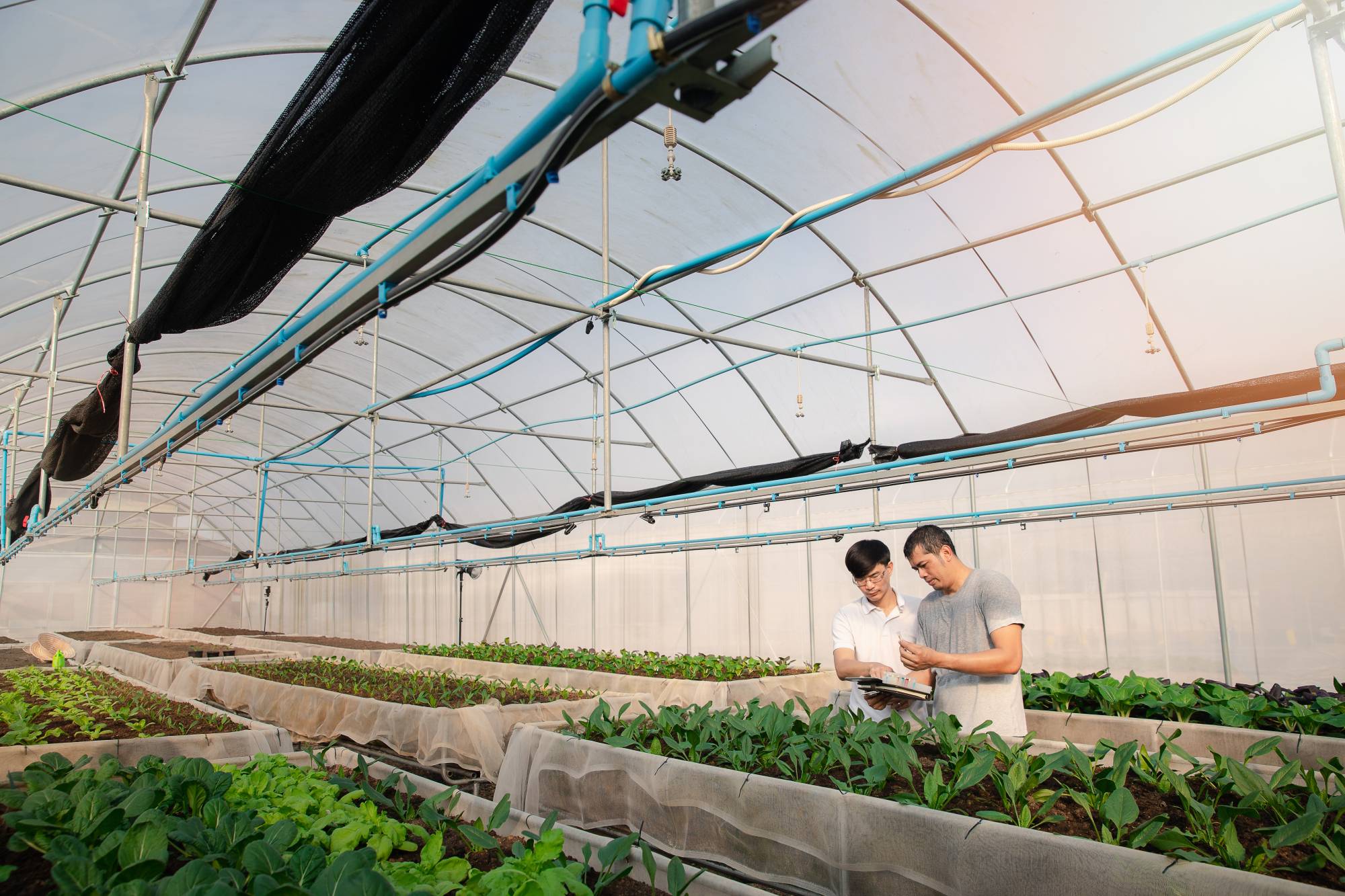 How to build food systems that promote safe, sustainable and healthy diets is one of the major topics of the Tokyo Nutrition for Growth summit. | GETTY IMAGES