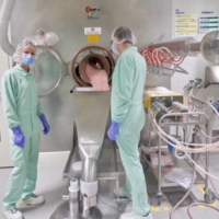 Workers in Freiburg, Germany, in November 2021 manufacture Pfizers new antiviral drug, Paxlovid.  | PFIZER / VIA THE NEW YORK TIMES