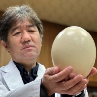 Kyoto Prefectural University President and Doctor of Veterinary Medicine Yasuhiro Tsukamoto holds an ostrich egg in Aug. 2021. | REUTERS  