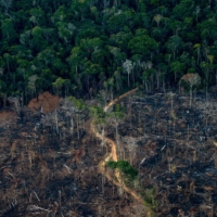 An aerial view show a deforested area of Amazonia rainforest in Brazil. | AFP-JIJI