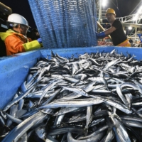 Fish are seen at Onahama port in Iwaki, Fukushima, on Thursday. The British government has started the process to lift import restrictions on farm products from Japan, a measure imposed in the wake of the Fukushima nuclear disaster. | KYODO
