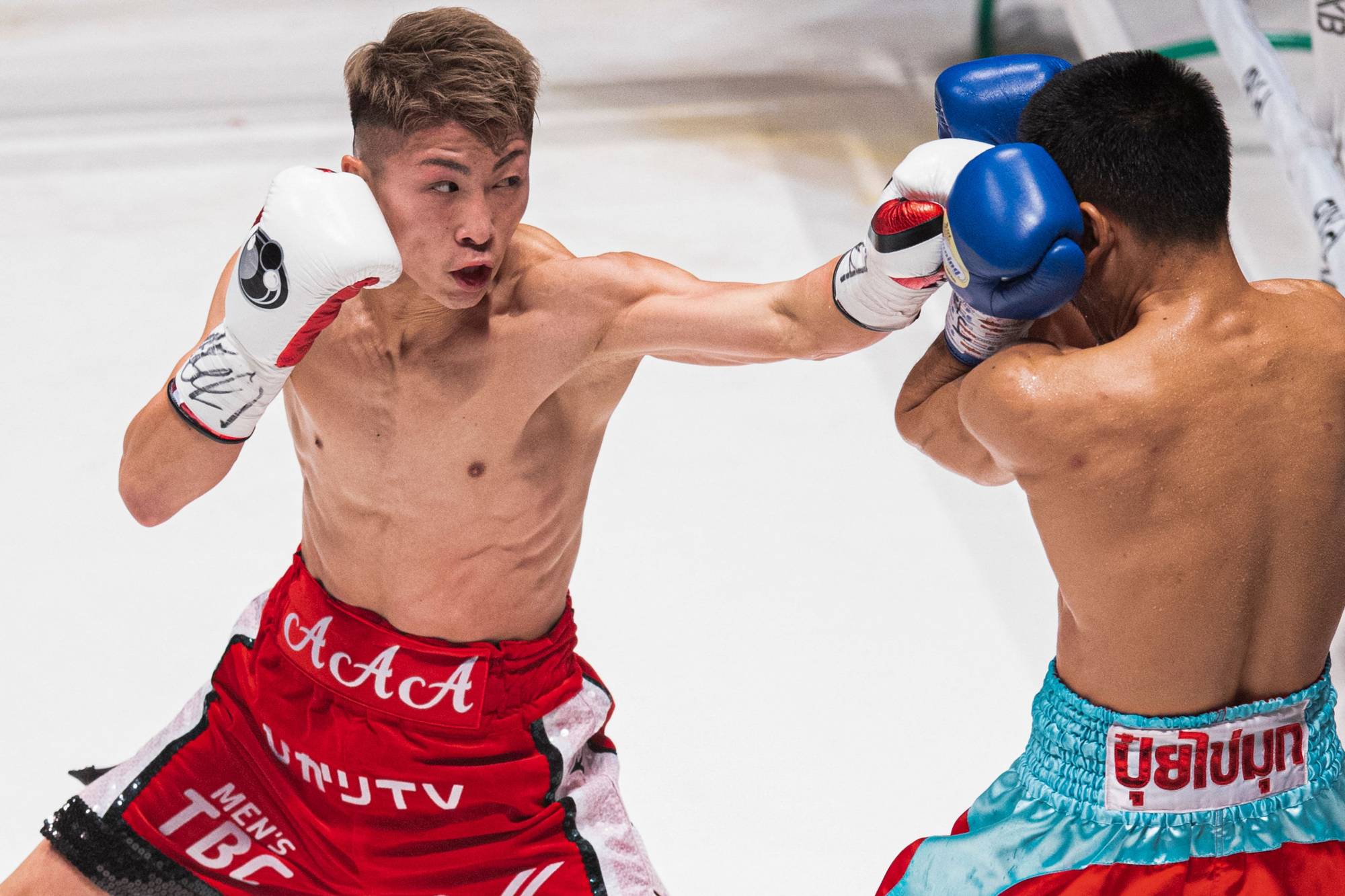 Naoya shop inoue stream