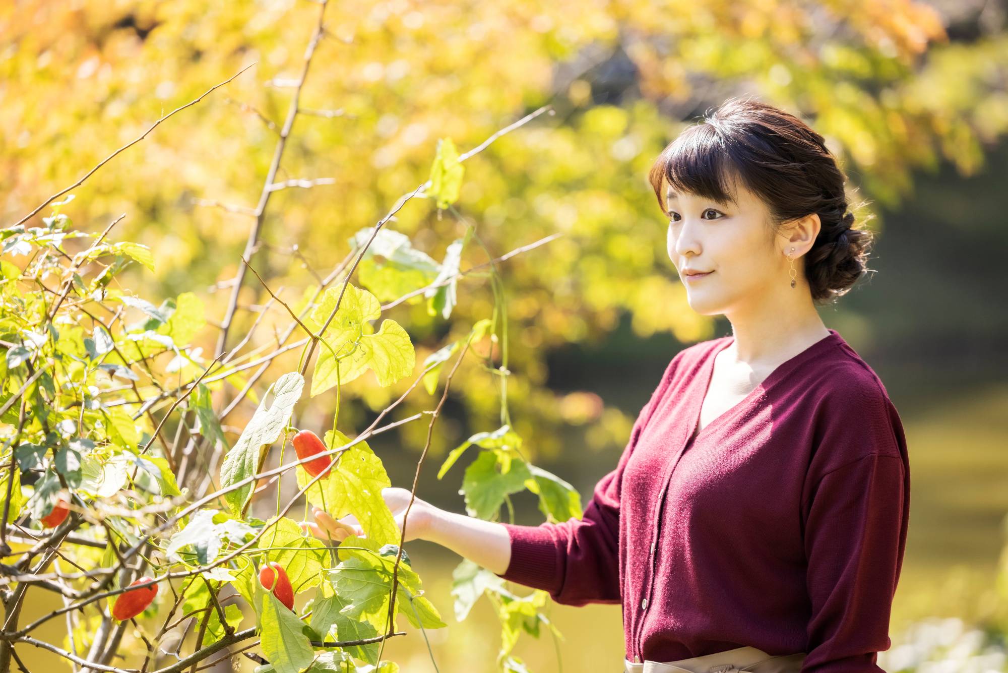 Mako Komuro's marriage to a commoner allowed her to leave Japan's imperial family. | Imperial Household Agency of Japan / VIA REUTERS