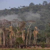 Deforestation in an environmentally protected area near Sao Felix do Xingu, Para state, Brazil, in October. Destruction of the Brazilian Amazon accelerated this year to levels unseen since 2006, with more than 5,019 square miles of forest lost between August 2020 and July 2021. | BLOOMBERG