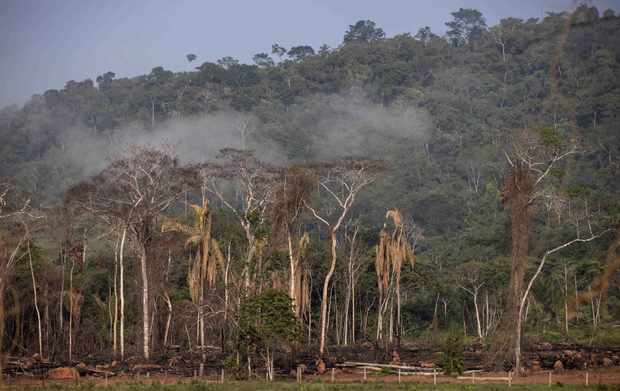Deforestation in an environmentally protected area near Sao Felix do Xingu, Para state, Brazil, in October. Destruction of the Brazilian Amazon accelerated this year to levels unseen since 2006, with more than 5,019 square miles of forest lost between August 2020 and July 2021. | Bloomberg