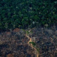 A deforested area of rainforest in Amazonas state, Brazil, in September. The Amazon basin has, until recently, absorbed large amounts of humankind\'s ballooning carbon emissions, helping stave off the nightmare of unchecked climate change. But studies indicate the rainforest is hurtling toward a \"tipping point,\" at which it will dry up and turn to savannah, its 390 billion trees dying off en masse. Already, the destruction is quickening, especially since far-right President Jair Bolsonaro took office in 2019 in Brazil — home to 60% of the Amazon — with a push to open protected lands to agribusiness and mining. | AFP-JIJI
