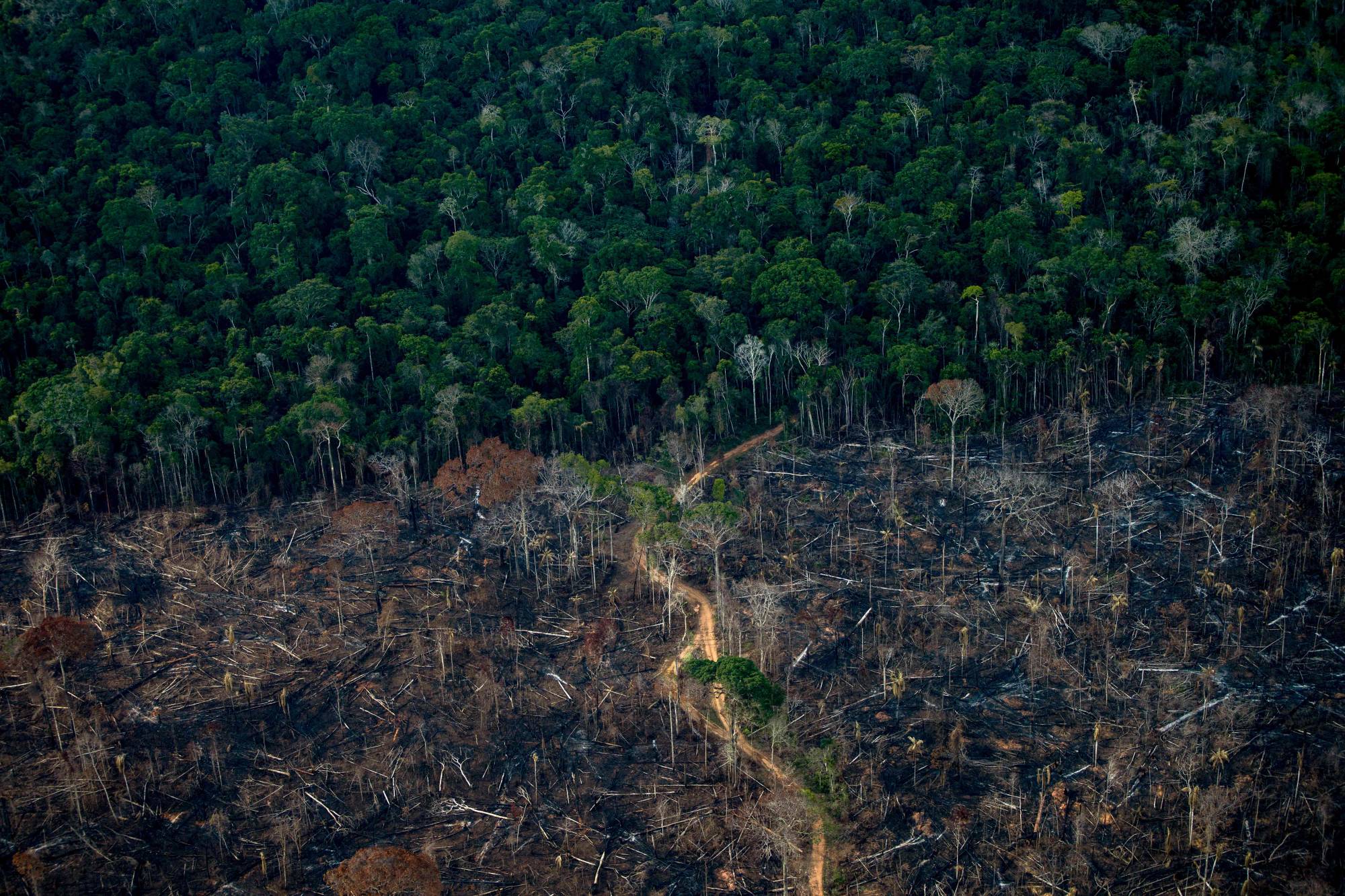 A deforested area of rainforest in Amazonas state, Brazil, in September. The Amazon basin has, until recently, absorbed large amounts of humankind's ballooning carbon emissions, helping stave off the nightmare of unchecked climate change. But studies indicate the rainforest is hurtling toward a 'tipping point,' at which it will dry up and turn to savannah, its 390 billion trees dying off en masse. Already, the destruction is quickening, especially since far-right President Jair Bolsonaro took office in 2019 in Brazil — home to 60% of the Amazon — with a push to open protected lands to agribusiness and mining. | AFP-JIJI