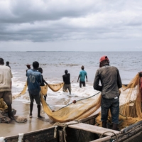 Fishermen haul in their nets by hand from the beach in Muanda on the Atlantic Ocean at the mouth of the Congo River in the Democratic Republic of Congo. | AFP-JIJI