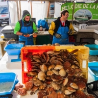 Fishermen shell scallops at a fish market in Ouisterham, France.  | AFP-JIJI
