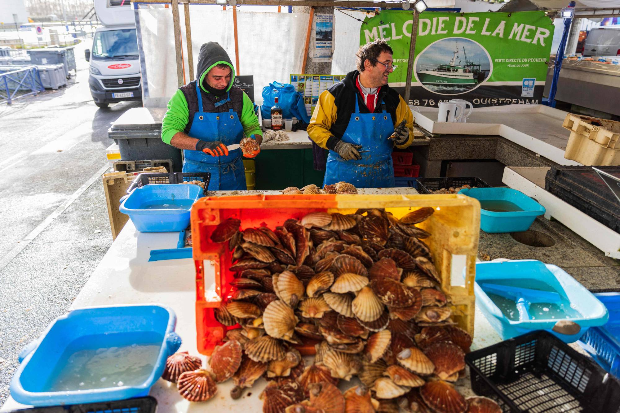 Fishermen shell scallops at a fish market in Ouisterham, France. | AFP-JIJI