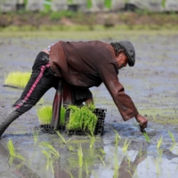 For Thai farmers who have lived in the three provinces of Chachoengsao, Chon Buri and Rayong for generations, there are few benefits from the Eastern Economic Corridor and many will lose their land and homes, activists warn. | REUTERS