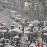The famed crossing outside the Shibuya Station in Tokyo gets a dusting of snow on Thursday afternoon. | KYODO
