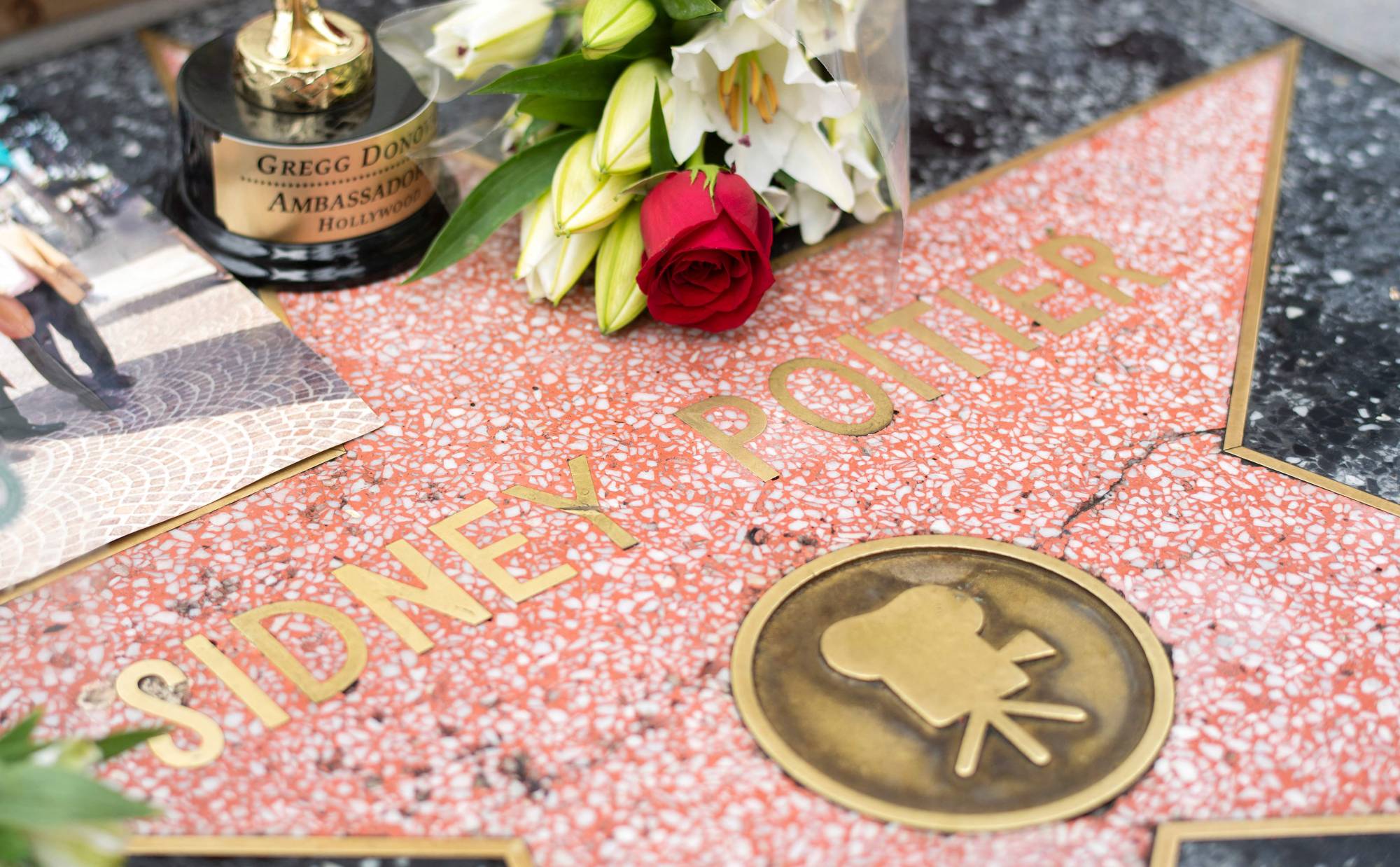 People place flowers on Sidney Poitier's star on the Hollywood Walk of Fame in Hollywood, California, on Friday. | AFP-JIJI