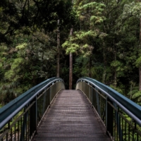 Whangarei, New Zealand | PICTURE COURTESY OF TIM SWAAN AND UNSPLASH
