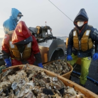 An oyster farmer (right) works with foreign trainees on a boat in Higashimatsushima, Miyagi Prefecture, in February 2021. | KYODO
