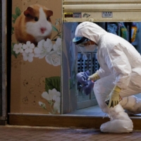 A wildlife officer leaves a temporarily closed pet shop after the Hong Kong government said it would euthanize around 2,000 hamsters in the city after finding evidence of possible animal-to-human transmission of COVID-19.  | REUTERS