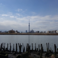 The Tokyo Skytree seen from the banks of the Arakawa in Tokyo\'s Katsushika Ward | ALEX K.T. MARTIN
